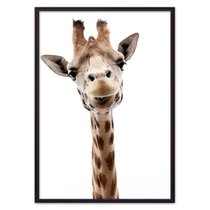 Жираф, 21x30 см - Dom Korleone