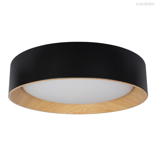 10202 Black Потолочный светильник LOFT IT Coin - Loft It