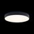 10002/24 Black Потолочный светильник LOFT IT Axel - Loft It