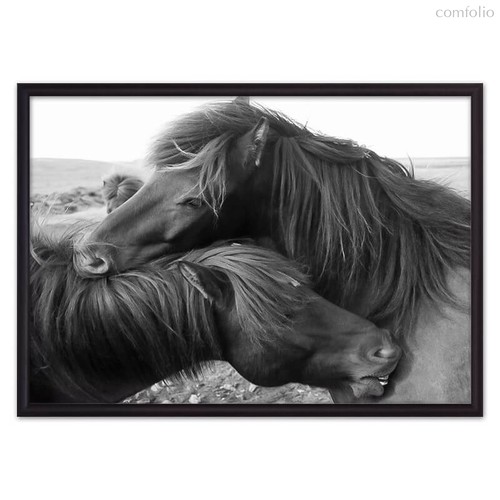 Лошади Исландии, 30x40 см - Dom Korleone