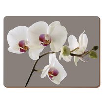 Подставки на пробке средние Гармония орхидей 30х23 см (6шт) - Creative Tops