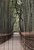 Бамбуковый лес 80х120 см, 80x120 см - Dom Korleone