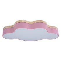 10005/30 Pink Потолочный светильник LOFT IT Axel - Loft It