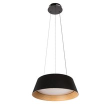 10224P Black Подвесной светильник LOFT IT Evans - Loft It