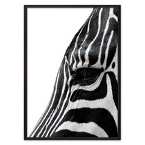 Зебра в профиль, 40x60 см - Dom Korleone