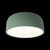 10201/350 Green Потолочный светильник LOFT IT Axel - Loft It