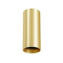 Потолочный светильник Technical C010CL-01MG-N - Maytoni