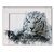 Белый тигр 45х55 см, 45x55 см - Dom Korleone