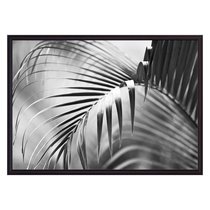 Пальмовый лист, 40x60 см - Dom Korleone