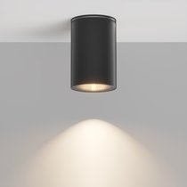 Потолочный светильник Maytoni Outdoor Roll O307CL-01B - Maytoni