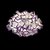 10231/530C Purple Потолочный светильник LOFT IT Clizia - Loft It
