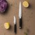 Нож для чистки 7см Gourmet, цвет черный - BergHOFF