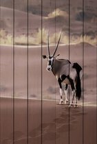 Антилопа в пустыне 40х60 см, 40x60 см - Dom Korleone