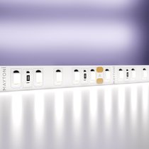 Светодиодная лента 24В 2835 14,4Вт/м 6000K 5м IP20 - Maytoni