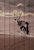Антилопа в пустыне 80х120 см, 80x120 см - Dom Korleone
