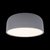 10201/350 Grey Потолочный светильник LOFT IT Axel - Loft It
