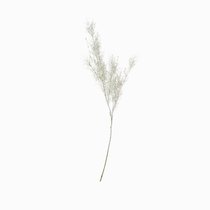 Декор Pure Glow, цвет белый - Cosmo