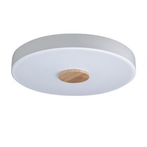 10003/24 White Потолочный светильник LOFT IT Axel - Loft It