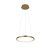 10014S Подвесной светильник LOFT IT Ring - Loft It