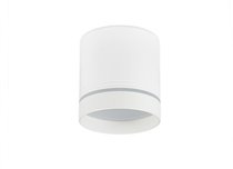 LED Barell светильник накладной, 23Вт, D128хH133мм, 2225Лм, 120°, 4000К, IP20, Ra80, PF65, 220-245В, белый RAL9003, источник питания в комплекте - Donolux