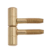 250DAL.01 Петля ввертная Ø9 с плоской пешкой полированная латунь (13 kg) - La Florida