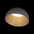 10197/350 Grey Потолочный светильник LOFT IT Egg - Loft It