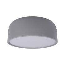10201/350 Grey Потолочный светильник LOFT IT Axel - Loft It