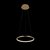 10014S Подвесной светильник LOFT IT Ring - Loft It