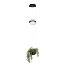 10121/B Подвесной светильник LOFT IT Jardin - Loft It