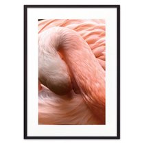 Фламинго, 50x70 см - Dom Korleone