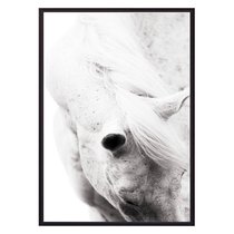 Белая лошадь, 40x60 см - Dom Korleone