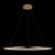 10014XL Подвесной светильник LOFT IT Ring - Loft It