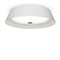 Потолочный светильник Freya FR10013CL-L24W - Freya