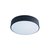 10002/12 Black Потолочный светильник LOFT IT Axel - Loft It