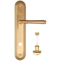 Дверная ручка на планке Fratelli Cattini FARFALLA WC-2 PL288-OLV полированная латунь - Fratelli Cattini