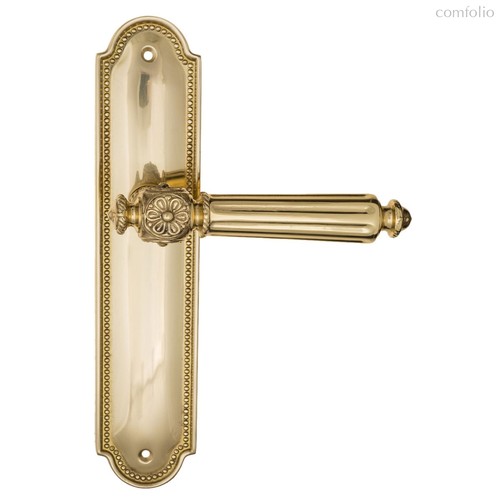 Дверная ручка на планке Fratelli Cattini "TORCELLO" PL248-OLV полированная латунь - Fratelli Cattini