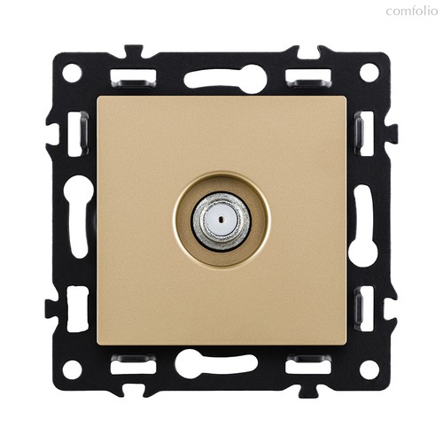 Розетка TV, золотой Kollinger Asthetik AS-020GD - Kollinger