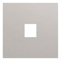 Лицевая панель для одиночной информационной розетки 35441 PL, платина