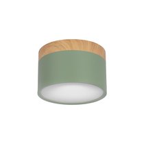 10162 Green Накладной светильник LOFT IT Grape - Loft It