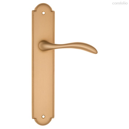 Дверная ручка на планке Fratelli Cattini LUCCIA PL257-BS матовая латунь - Fratelli Cattini