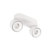 10323/2A White Накладной светильник LOFT IT Focus - Loft It