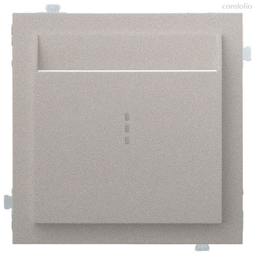 Лицевая панель для карточного выключателя 35731 PL, платина - Rikett