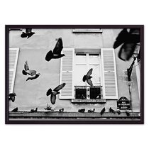 Голуби Париж, 50x70 см - Dom Korleone