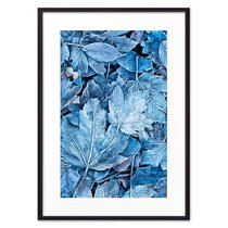 Кленовые листья, 50x70 см - Dom Korleone