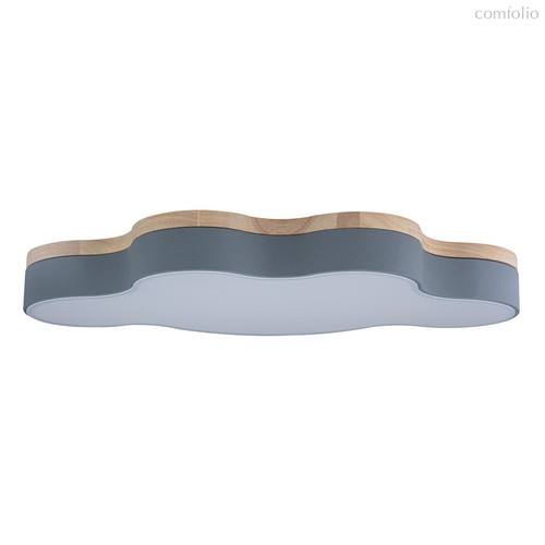 10005/36 Grey Потолочный светильник LOFT IT Axel - Loft It