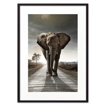 Слон на дороге, 40x60 см - Dom Korleone