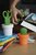 Ножницы Cactus с держателем, оранжевые с зеленым - Qualy