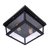 LOFT3110-2C Потолочный светильник LOFT IT Modern filament - Loft It