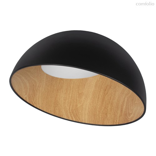 10197/500 Black Потолочный светильник LOFT IT Egg - Loft It