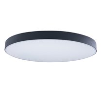 10002/48 Black Потолочный светильник LOFT IT Axel - Loft It